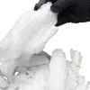 Buy Crystal Meth Online